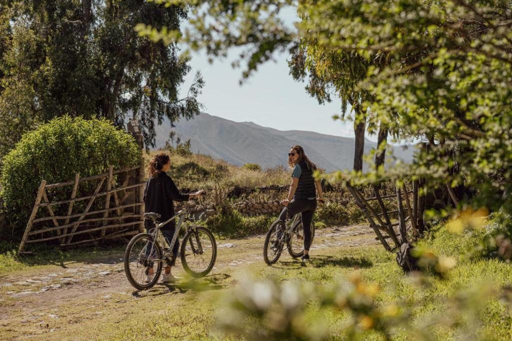 Colca Trek Lodge Best Experience Pinchollo Exterior photo